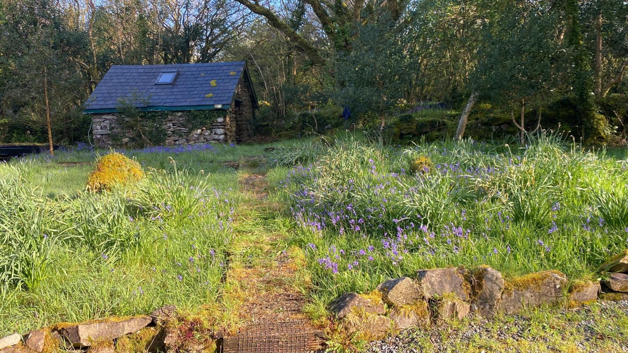 Sligo Forest Retreat Extérieur photo