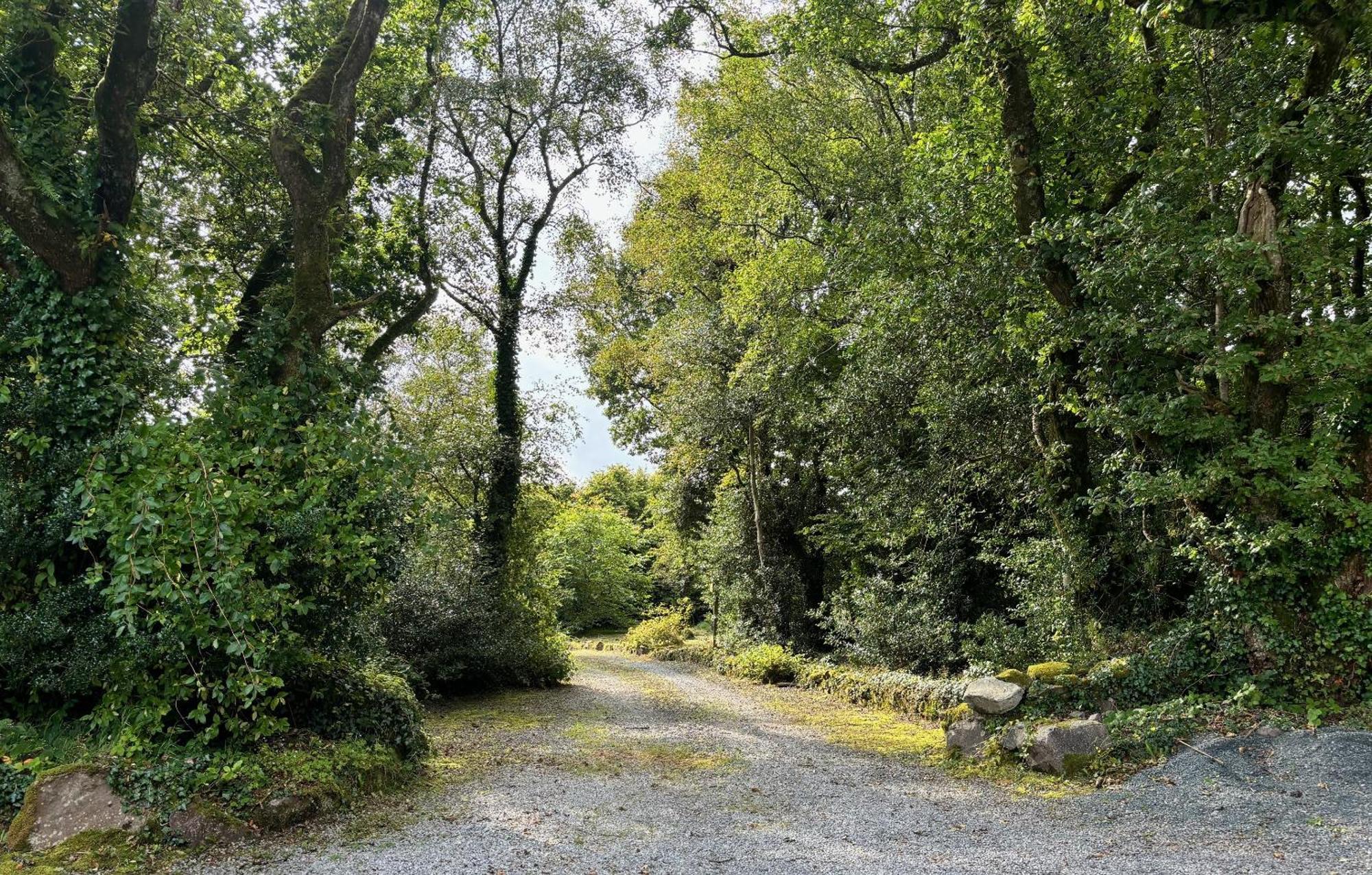 Sligo Forest Retreat Extérieur photo
