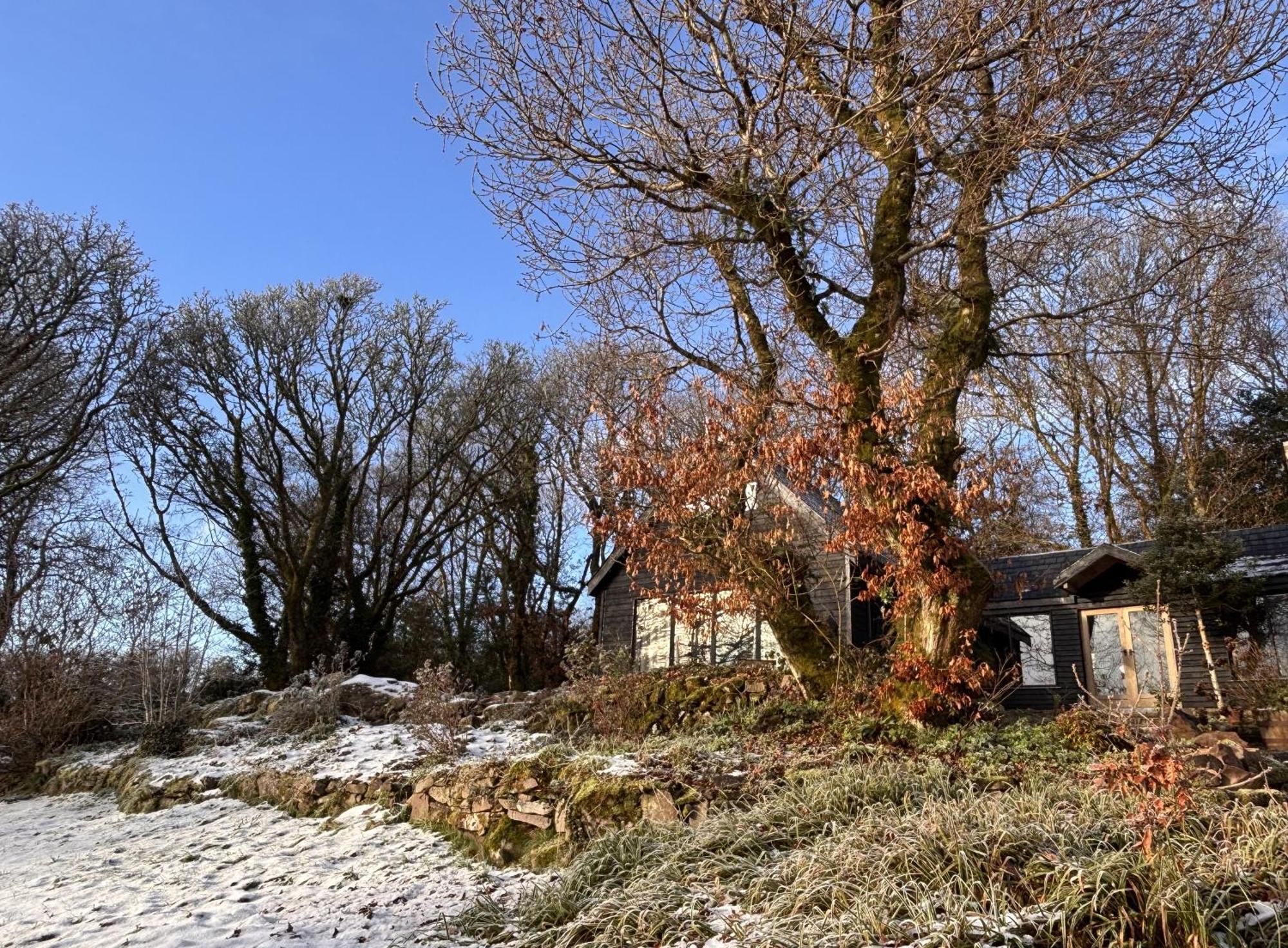 Sligo Forest Retreat Extérieur photo
